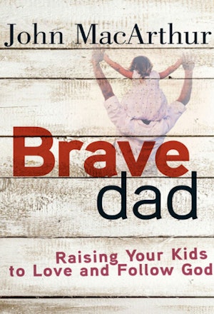 Brave Dad book cover