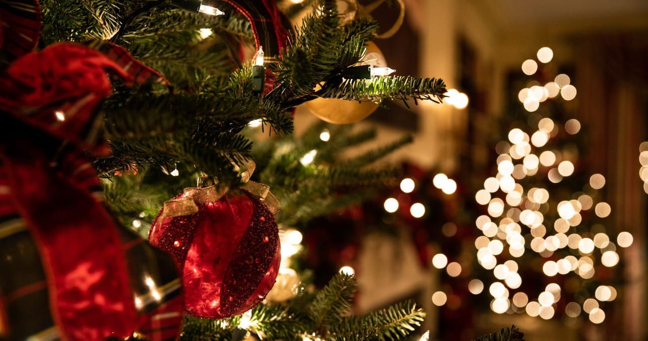 close-up of Christmas tree lights on a tree