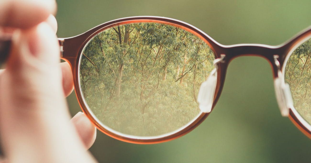 glasses in the foreground with nature in the background